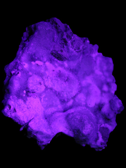 Blue Aragonite Caribbean Calcite specimen 95*55*93mm 343g in UV light - Rocks and Things Store