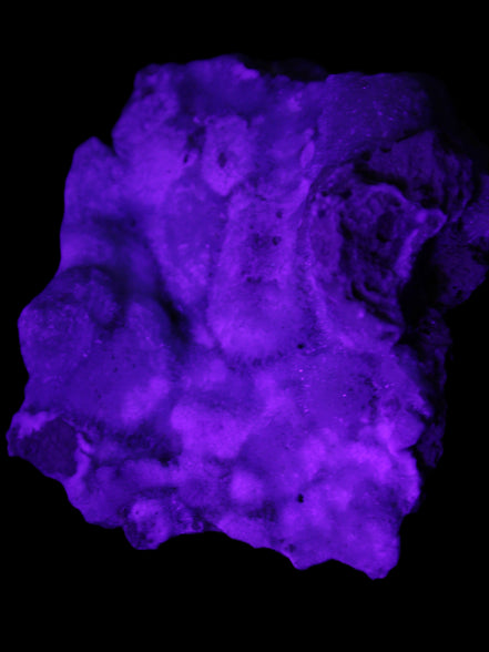 Blue Aragonite Caribbean Calcite specimen 95*55*93mm 343g in UV light - Rocks and Things Store