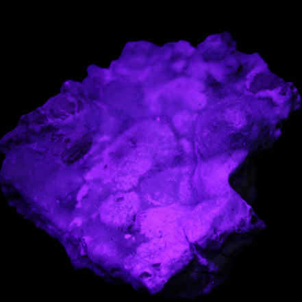 Blue Aragonite Caribbean Calcite specimen 95*55*93mm 343g in UV light - Rocks and Things Store