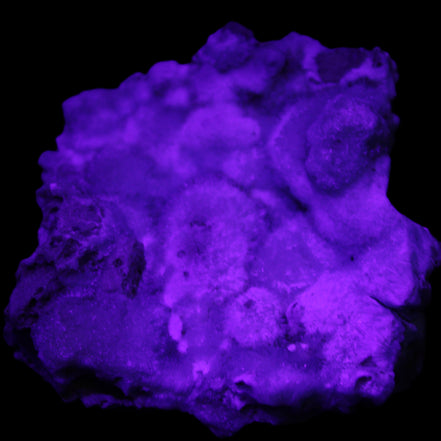 Blue Aragonite Caribbean Calcite specimen 95*55*93mm 343g in UV light - Rocks and Things Store