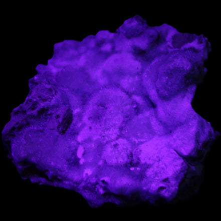 Blue Aragonite Caribbean Calcite specimen 95*55*93mm 343g in UV light - Rocks and Things Store