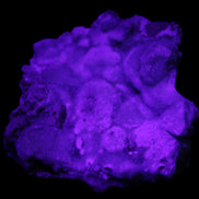 Blue Aragonite Caribbean Calcite specimen 95*55*93mm 343g in UV light - Rocks and Things Store