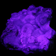 Blue Aragonite Caribbean Calcite specimen 95*55*93mm 343g in UV light - Rocks and Things Store