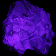 Blue Aragonite Caribbean Calcite specimen 95*55*93mm 343g in UV light - Rocks and Things Store