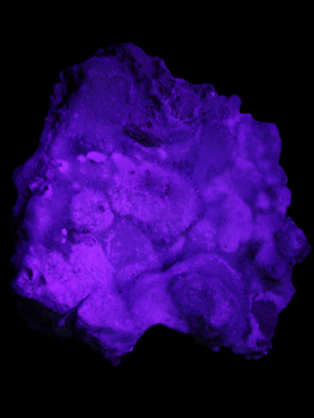 Blue Aragonite Caribbean Calcite specimen 95*55*93mm 343g in UV light - Rocks and Things Store