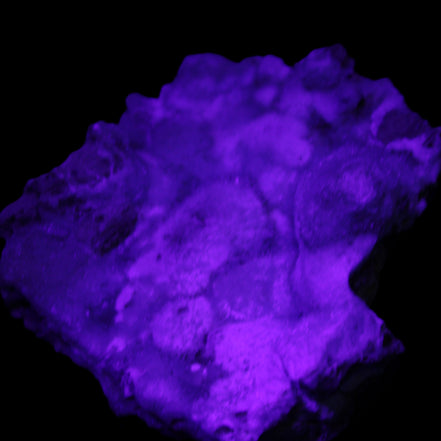 Blue Aragonite Caribbean Calcite specimen 95*55*93mm 343g in UV light - Rocks and Things Store