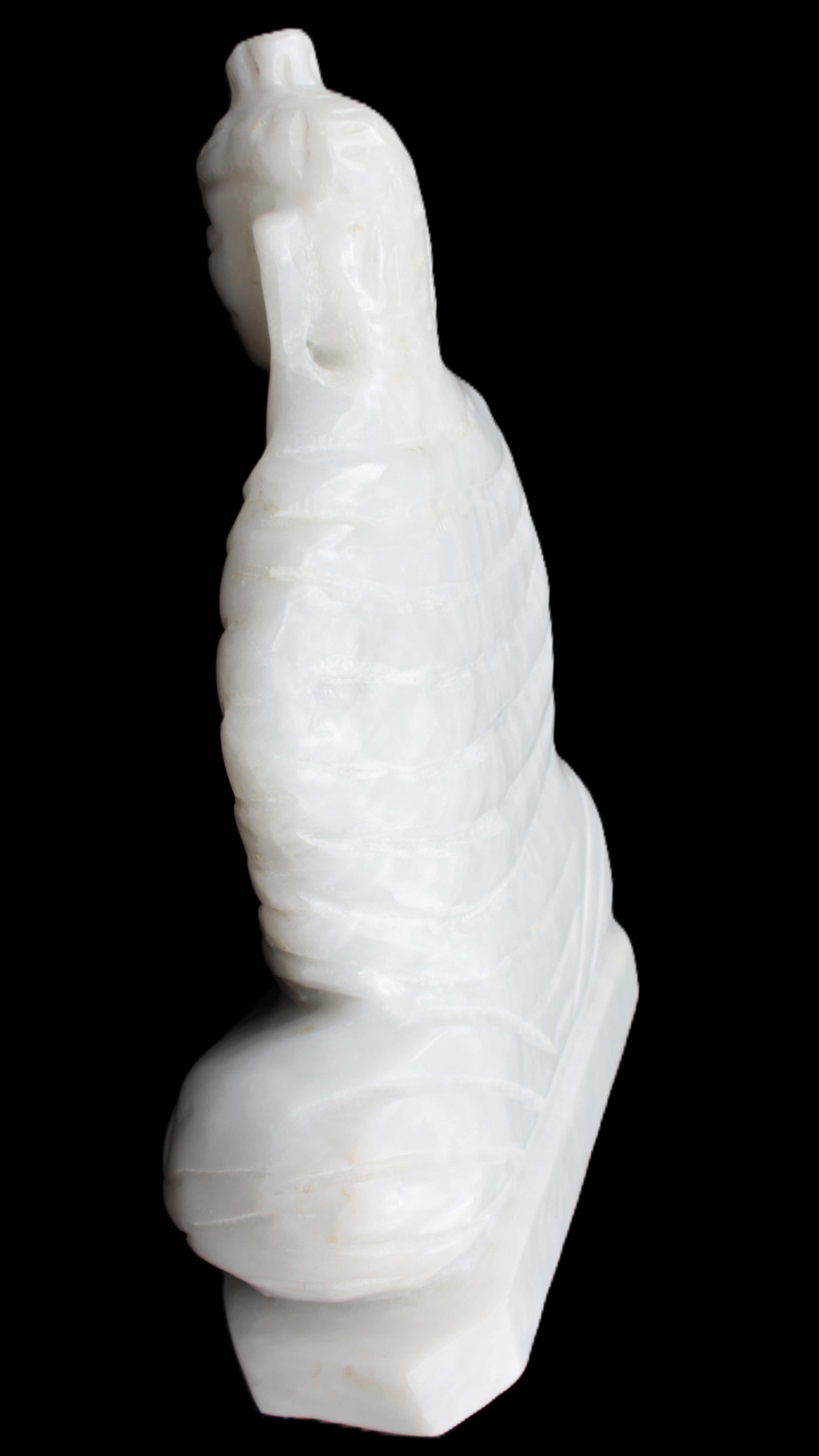 Fabulous White Jade Buddha 215*307mm 6400g Rocks and Things Store