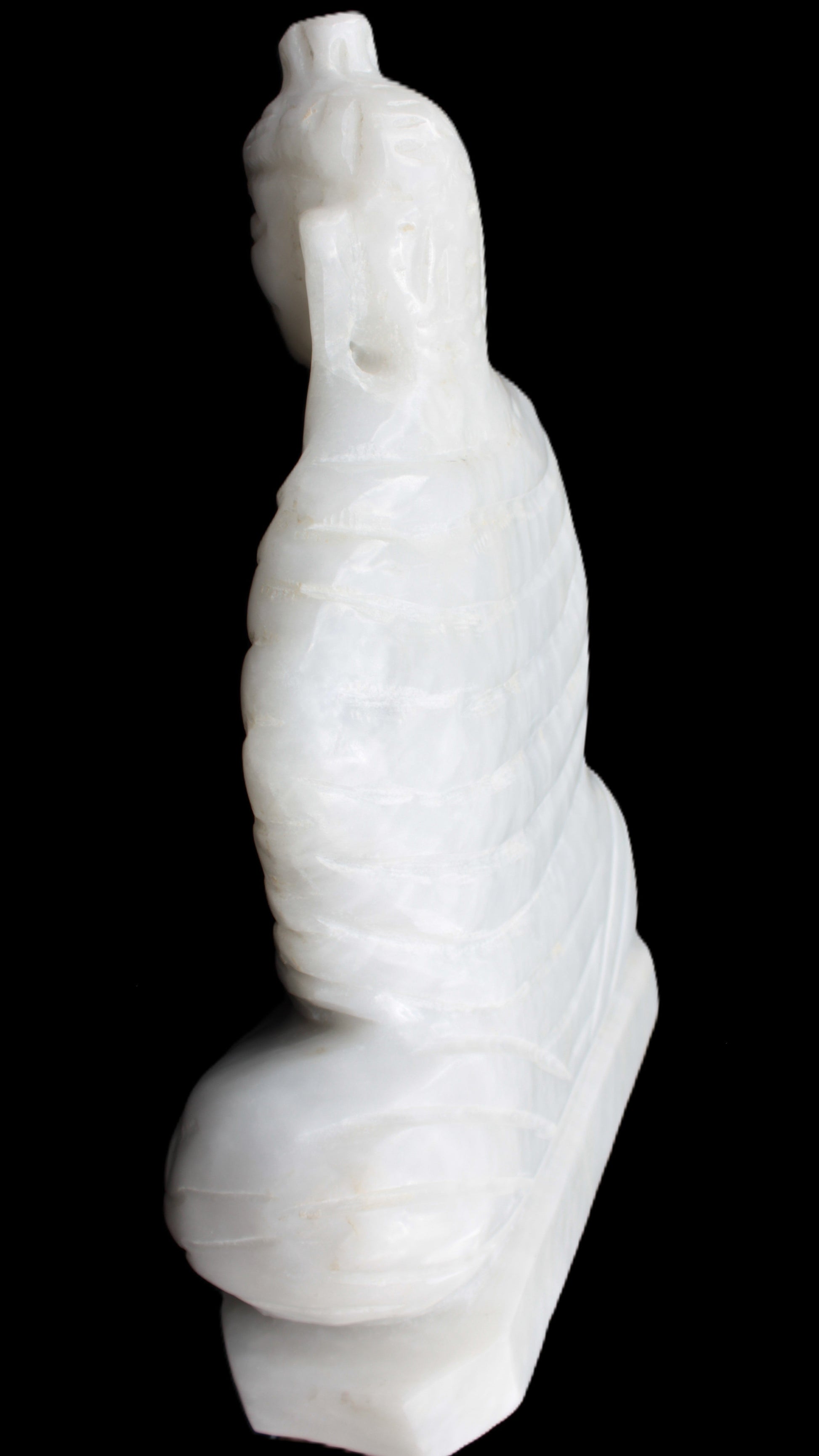 Fabulous White Jade Buddha 215*307mm 6400g Rocks and Things Store
