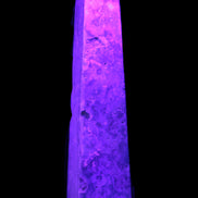 Caribbean Calcite obelisk 348*55*75mm 2574g in UV light - Rocks and Things Store