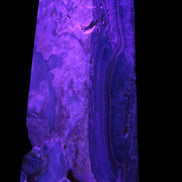 Caribbean Calcite obelisk 228*55*67mm 1554g in UV light - Rocks and Things Store