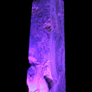 Caribbean Calcite obelisk 228*55*67mm 1554g in UV light - Rocks and Things Store