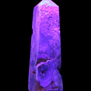 Caribbean Calcite obelisk 228*55*67mm 1554g in UV light - Rocks and Things Store