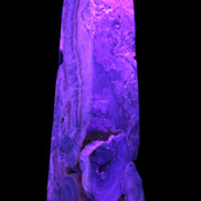 Caribbean Calcite obelisk 228*55*67mm 1554g in UV light - Rocks and Things Store