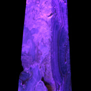 Caribbean Calcite obelisk 228*55*67mm 1554g in UV light - Rocks and Things Store