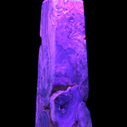 Caribbean Calcite obelisk 228*55*67mm 1554g in UV light - Rocks and Things Store
