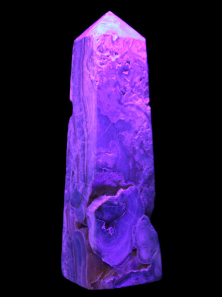 Caribbean Calcite obelisk 228*55*67mm 1554g in UV light - Rocks and Things Store