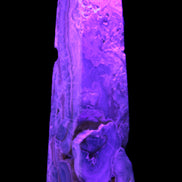 Caribbean Calcite obelisk 228*55*67mm 1554g in UV light - Rocks and Things Store