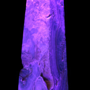 Caribbean Calcite obelisk 228*55*67mm 1554g in UV light - Rocks and Things Store