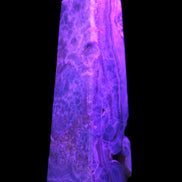 Caribbean Calcite obelisk 228*55*67mm 1554g in UV light - Rocks and Things Store