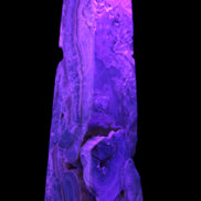 Caribbean Calcite obelisk 228*55*67mm 1554g in UV light - Rocks and Things Store