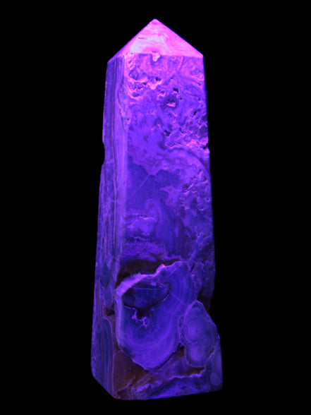 Caribbean Calcite obelisk 228*55*67mm 1554g in UV light - Rocks and Things Store