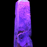 Caribbean Calcite obelisk 228*55*67mm 1554g in UV light - Rocks and Things Store