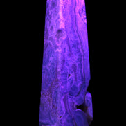 Caribbean Calcite obelisk 228*55*67mm 1554g in UV light - Rocks and Things Store