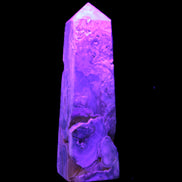 Caribbean Calcite obelisk 228*55*67mm 1554g in UV light - Rocks and Things Store