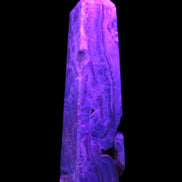 Caribbean Calcite obelisk 228*55*67mm 1554g in UV light - Rocks and Things Store