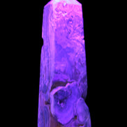 Caribbean Calcite obelisk 228*55*67mm 1554g in UV light - Rocks and Things Store