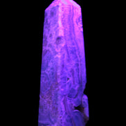Caribbean Calcite obelisk 228*55*67mm 1554g in UV light - Rocks and Things Store