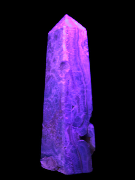 Caribbean Calcite obelisk 228*55*67mm 1554g in UV light - Rocks and Things Store