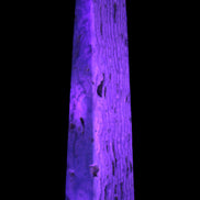 Caribbean Calcite obelisk 95*40*44mm 571g in UV light - Rocks and Things Store