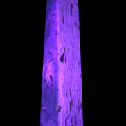 Caribbean Calcite obelisk 95*40*44mm 571g in UV light - Rocks and Things Store