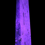Caribbean Calcite obelisk 95*40*44mm 571g in UV light - Rocks and Things Store