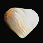 Afghan Jade heart 29mm 12.2g in sunlight - Rocks and Things Store