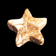 Chocolate Star Calcite 58*19mm 101.2g Rocks and Things Store