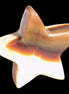 Chocolate Calcite Star 70*19mm 136.5g Rocks and Things Store