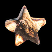 Chocolate Calcite Star 67*19mm 114.0g Rocks and Things Store