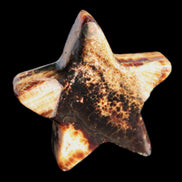 Chocolate Calcite Star 67*19mm 114.0g Rocks and Things Store