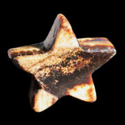 Chocolate Calcite Star 67*19mm 114.0g Rocks and Things Store