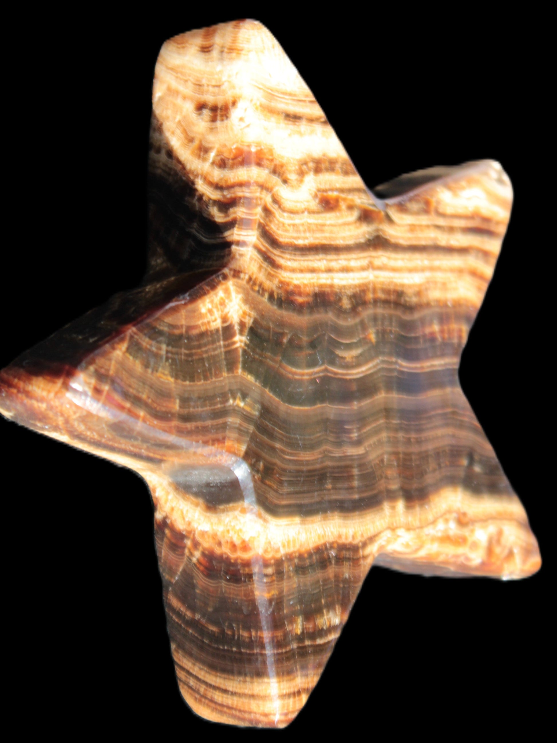 Chocolate Calcite Star 101*20mm 277.3g Rocks and Things Store