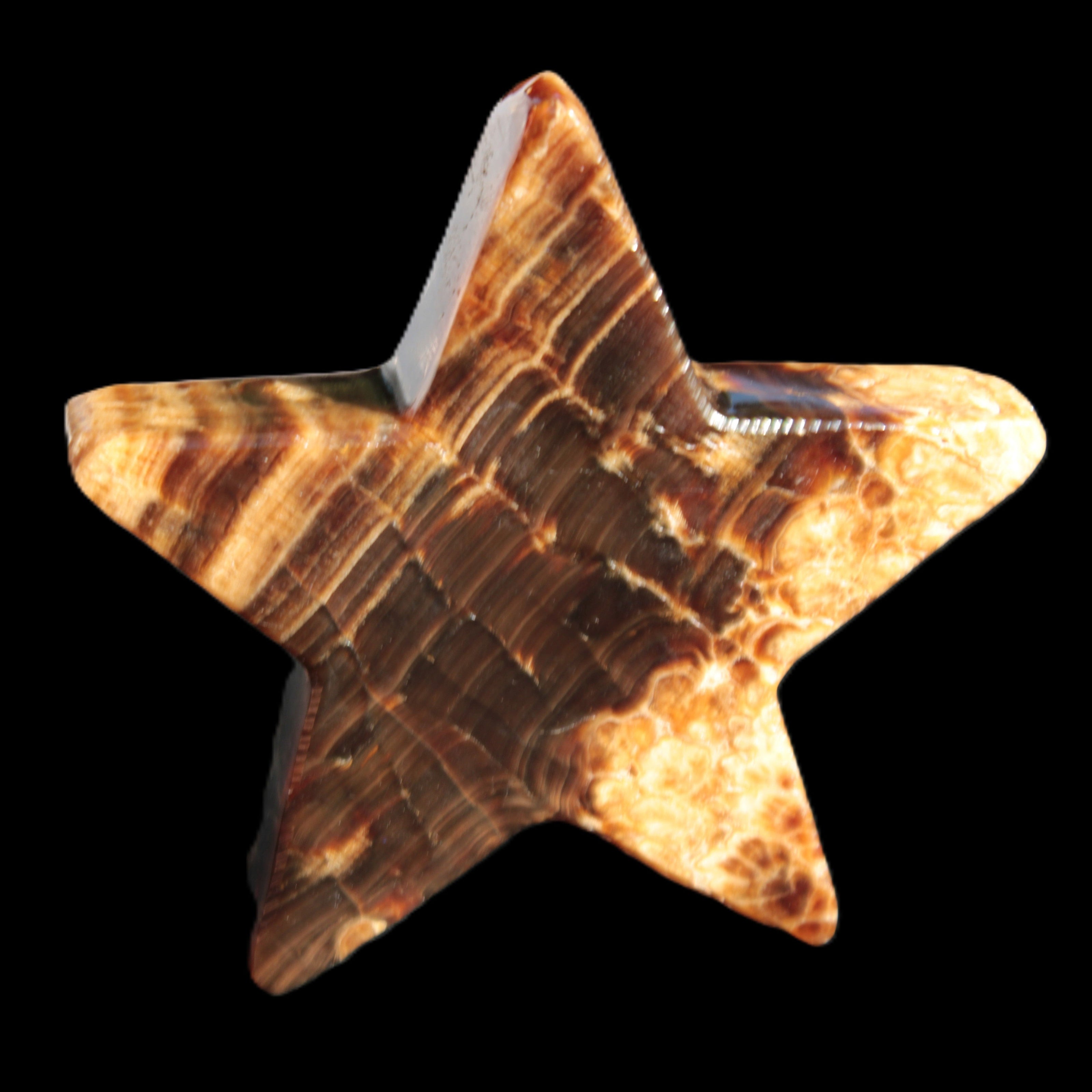 Chocolate Calcite Star 103*18mm 237.7g in very bright sunshine -  Rocks and Things Store