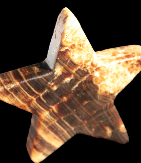 Chocolate Calcite Star 103*18mm 237.7g in very bright sunshine -  Rocks and Things Store