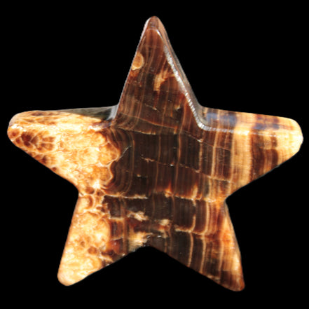Chocolate Calcite Star 103*18mm 237.7g in very bright sunshine -  Rocks and Things Store