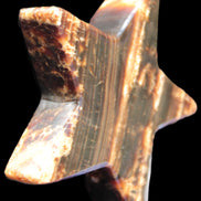 Chocolate Calcite Star 103*18mm 249.6g in bright sunshine - Rocks and Things Store