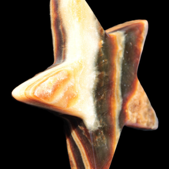 Chocolate Calcite Star 105*19mm 244g in sunlight - Rocks and Things Store