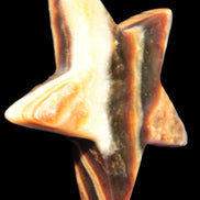 Chocolate Calcite Star 105*19mm 244g Rocks and Things Store