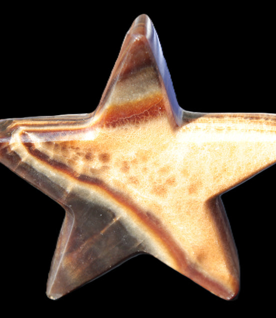 Chocolate Calcite Star 103*17mm 232.4g Rocks and Things Store