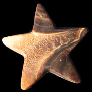 Chocolate Calcite Star 103*17mm 232.4g Rocks and Things Store